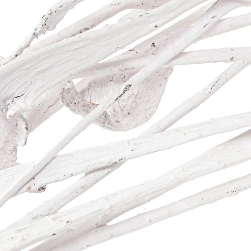 Prodotto Natraj mix di legno di corno sbiancato 10 pz
