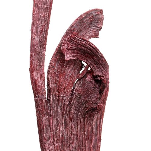 Prodotto Natraj corna di legno mix rosso, imbiancato 10 pezzi