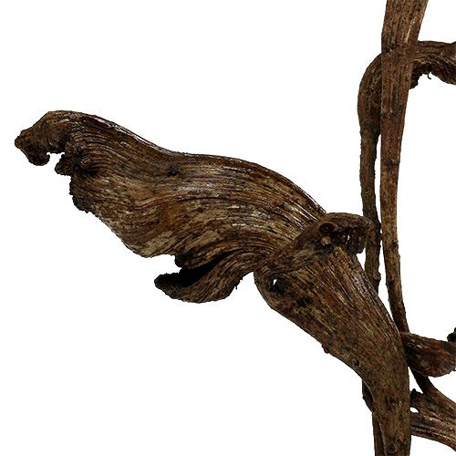 Prodotto Natraj Corno Mix di legno naturale 10 pz