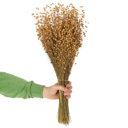 Prodotto Erbe di lino essiccate naturali per composizioni floreali secche Linum Natur 60cm 180g