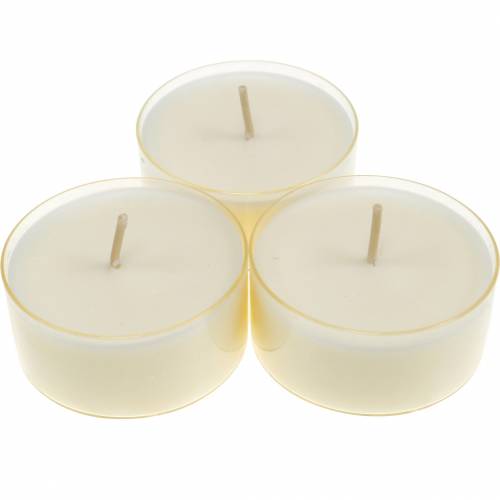 Tealights Pure Nature Lights tempo di combustione 10 ore  candele cera di colza 8pz-31-502-8