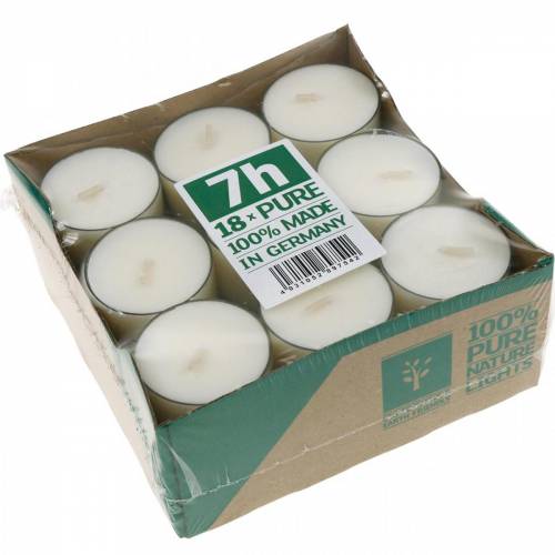 Floristik24 PURE Nature Lights Tealights Cera di colza Tempo di combustione naturale 7 ore 18 pezzi