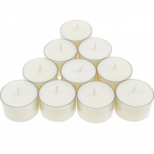 Floristik24 PURE Nature Lights Tealights Cera di colza Tempo di combustione naturale 7 ore 18 pezzi