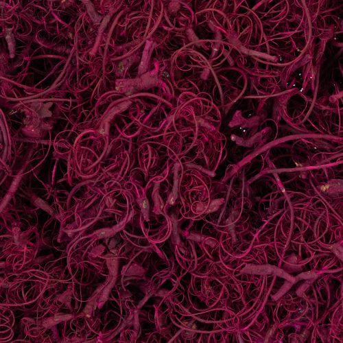 Prodotto Materiali per lavori artigianali in fibra di tamarindo naturale, bordeaux, 500 g - Decorazione, Floristica, Creatività