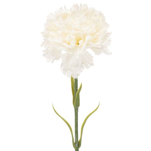 Garofano artificiale con stelo per bouquet e ghirlande, 56 cm, 8 pezzi acquistare | Floristik24.it