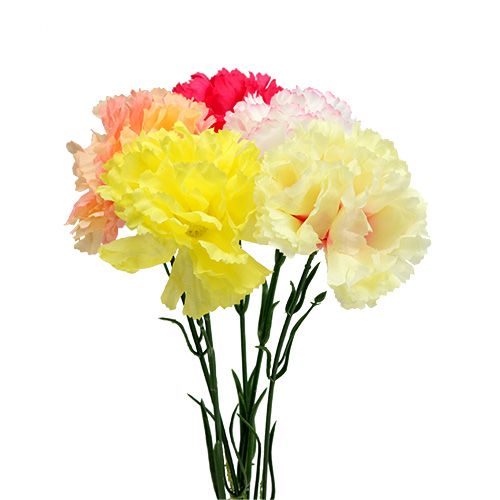 Floristik24 Garofano colori assortiti su filo 72 pz