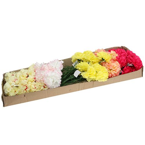 Floristik24 Garofano colori assortiti su filo 72 pz