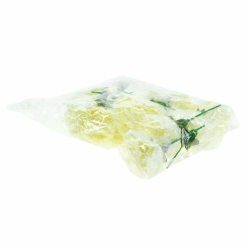 Prodotto Fiore di garofano bianco Ø9 cm 12 pezzi