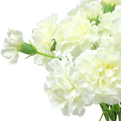 Floristik24 Garofano bianco 64 cm 4 pezzi