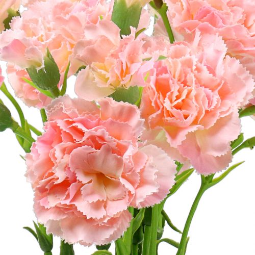 Floristik24 Garofano rosa 64 cm 4 pezzi
