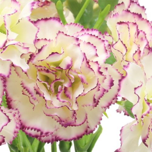 Prodotto Garofano Bianco-Viola 64cm 4 pz