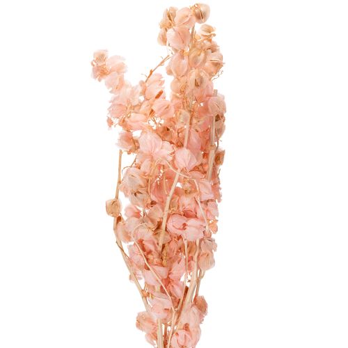 Lo stelo di fiori secchi crea un'atmosfera romantica per qualsiasi zona giorno (75 cm)