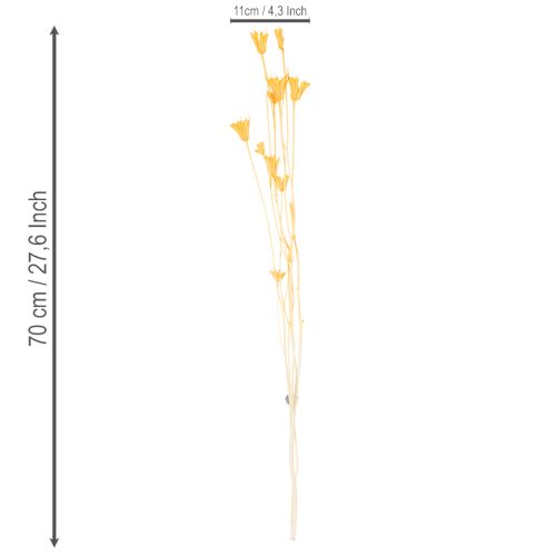 Prodotto Composizione di fiori secchi di Nigella per un uso duraturo. Elegante e accattivante. 70 cm, 50 g.