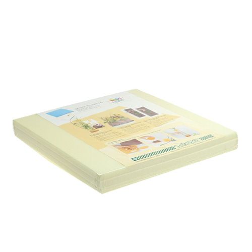 Floristik24 Piatti Designer OASIS® Avorio Avorio 3 pz
