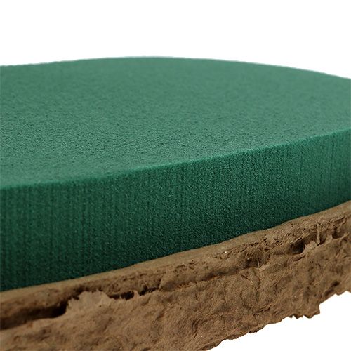 OASIS® Biolit® cuore grande 34cm 2pz