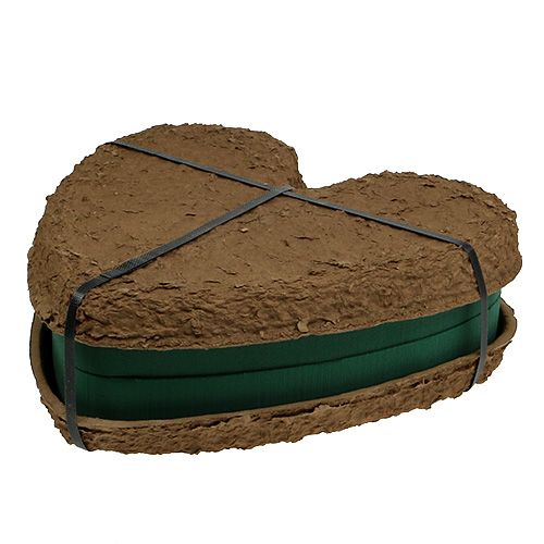 Prodotto OASIS® Biolit® cuore grande 34 cm 2 pz