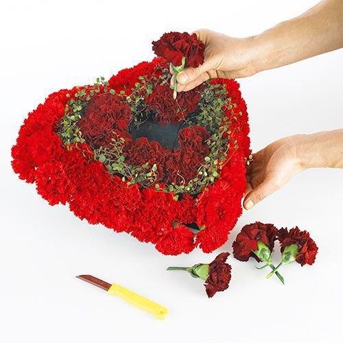 Prodotto OASIS® Biolit® cuore grande 34 cm 2 pz
