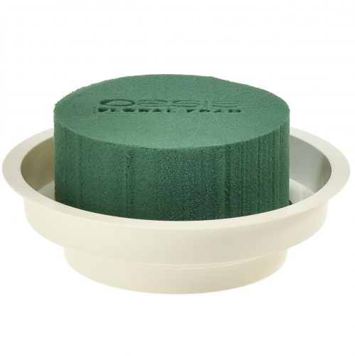 Floristik24 OASIS® Junior Completo 12 pz