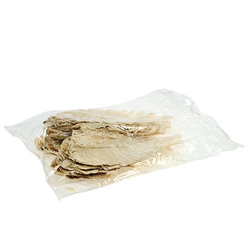Prodotto Foglia Rovere Sbiancato 35 pz
