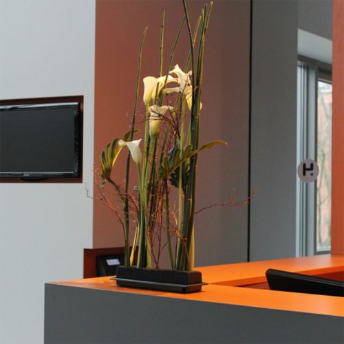 Prodotto OASIS® Black Table Deco Medi Floral Foam 4pz