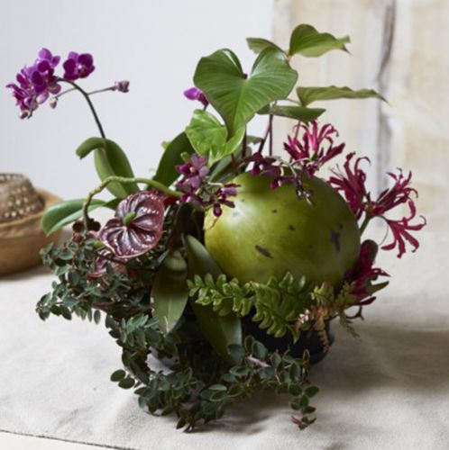 Floristik24 spugna per fiori cilindro tappo materiale nero Ø28cm H5cm 2 pezzi