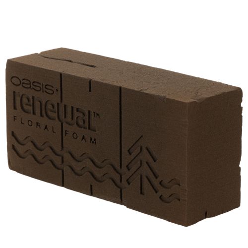 Spugna floreale Oasis Renewal 23 cm 1 mattone | Floristik24.it