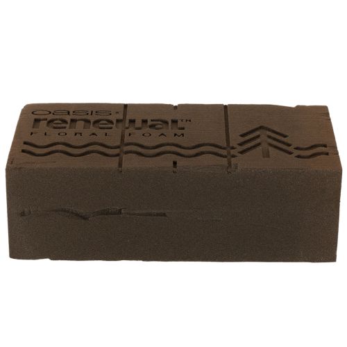 Spugna floreale Oasis Renewal 23 cm 1 mattone | Floristik24.it