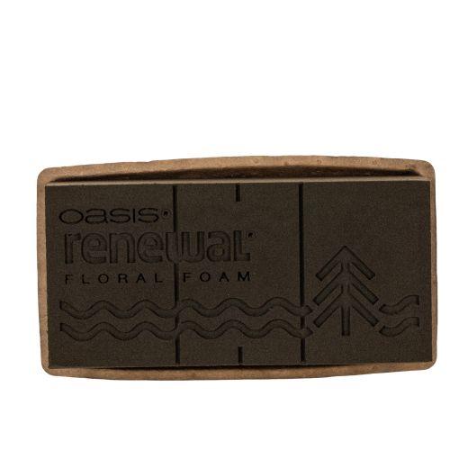 Spugna floreale 1/1 mattone OASIS® Renewal® Spugna floreale Biolit® 24 cm 2 pezzi