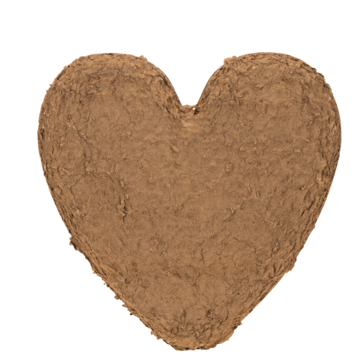 Cuore in spugna floreale OASIS® Renewal® Cuore in spugna floreale Biolit® 33 cm 2 pezzi | Floristik24.it