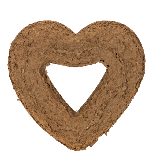 Spugna floreale a forma di cuore OASIS® Renewal® Spugna floreale Biolit® 27 cm 2 pezzi | Floristik24.it