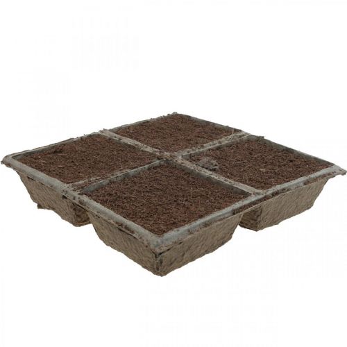 Floristik24 OASIS® TerraBrick™ composto plug-in compostabile 8pz