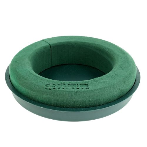 Floristik24 Anello in schiuma floreale con conchiglia verde Ø30cm H4.5cm 2pz