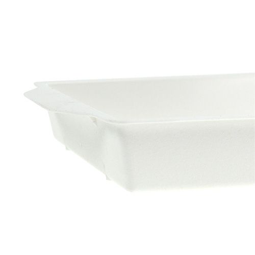 Prodotto Ciotola plug-in OASIS® bianca 23 cm x 11,5 cm x 2,5 cm 5 pz.