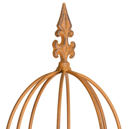 Prodotto Traliccio da giardino, supporto per piante rampicanti come rose e altre piante, ideale per il design del giardino, 108 cm, set da 2.