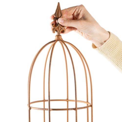 Prodotto Traliccio da giardino, supporto per piante rampicanti come rose e altre piante, ideale per il design del giardino, 108 cm, set da 2.