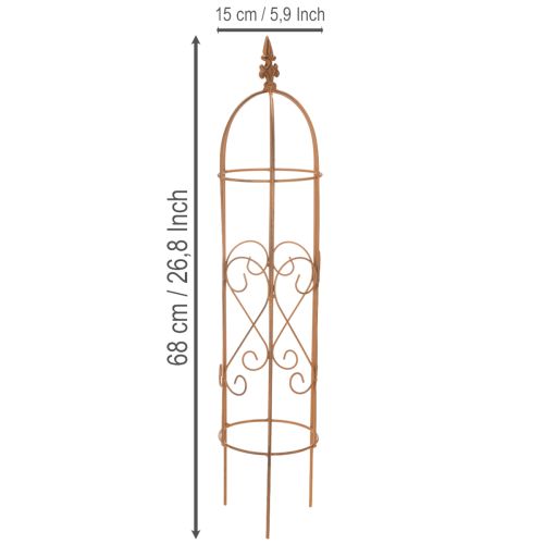 Prodotto Traliccio da giardino, supporto per piante rampicanti come rose e altre piante, ideale per il design del giardino, 108 cm, set da 2.