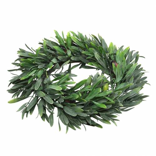 Floristik24 Corona d'ulivo verde artificiale Ø28cm decoro mediterraneo