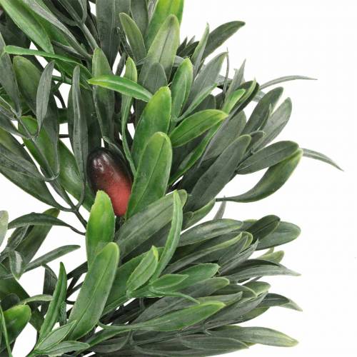 Floristik24 Corona d'ulivo verde artificiale Ø28cm decoro mediterraneo