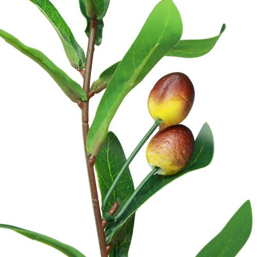 Prodotto Ramo d'ulivo ramo decorativo d'ulivo artificiale 45 cm