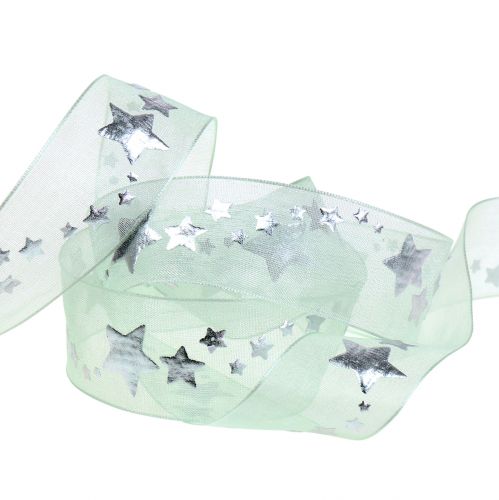 Floristik24 Nastro decorativo in organza con motivo a stella verde chiaro 25mm 20m