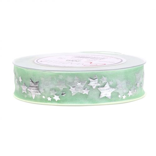 Floristik24 Nastro decorativo in organza con motivo a stella verde chiaro 25mm 20m