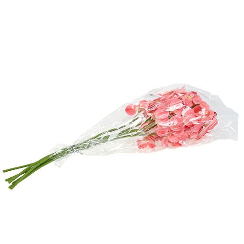 Prodotto Orchidea Mokara Salmone 50cm 6 pz