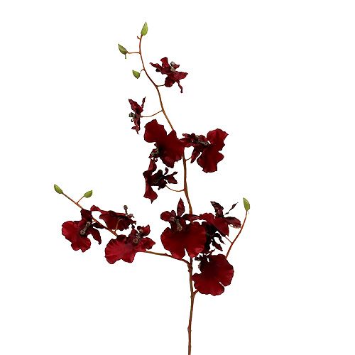 Floristik24 Orchid Oncidium 70 cm rosso scuro 3 pezzi