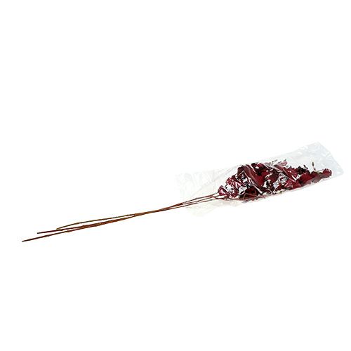 Floristik24 Orchid Oncidium 70 cm rosso scuro 3 pezzi