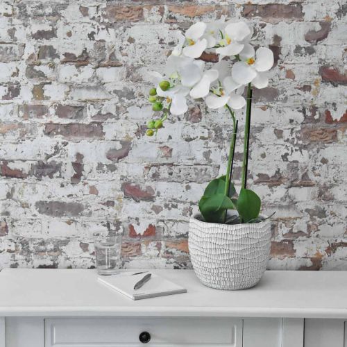 Prodotto Orchid White su bulbo da 65 cm