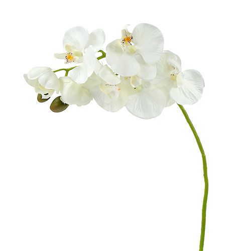 Floristik24 Orchidea bianca artificiale L73cm 4 pezzi