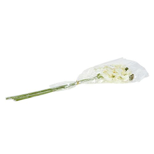 Floristik24 Orchidea bianca artificiale L73cm 4 pezzi