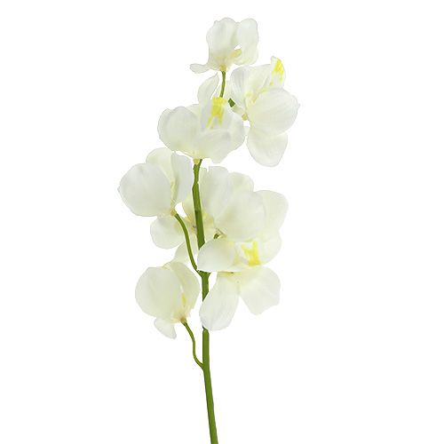 Crema di orchidee artificiali 50 cm 6 pezzi-85753