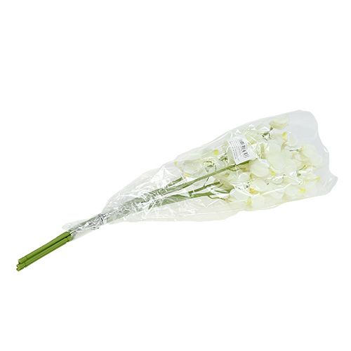 Prodotto Crema di orchidee artificiali 50 cm 6 pezzi