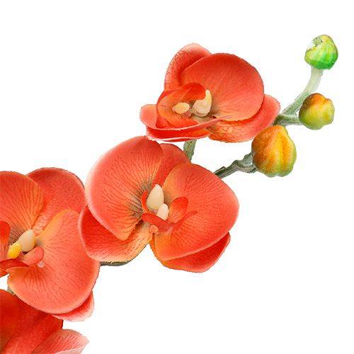 Prodotto Orchidea due rami 60cm arancione